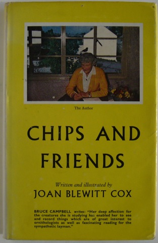 Image for Chips and Friends