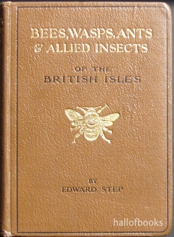 Image for "Bees, Wasps, Ants & Allied Insects of the British Isles"
