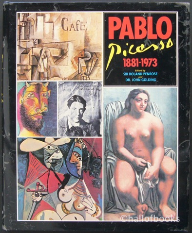 Image for Pablo Picasso 1881-1973