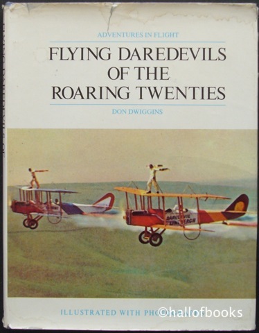 Image for Flying Daredevils of the Roaring Twenties