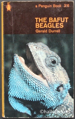 Image for The Bafut Beagles