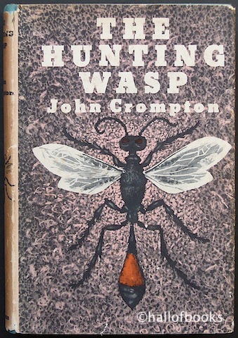 Image for The Hunting Wasp