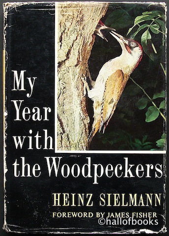 Image for My Year with the Woodpeckers