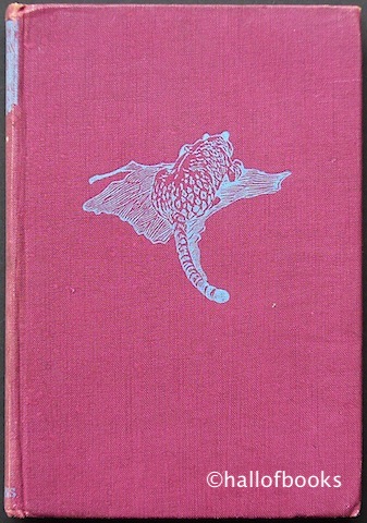 Image for South American Zoo