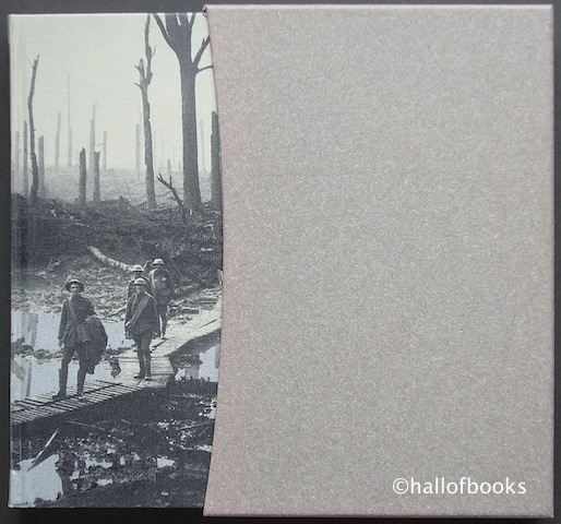 Image for In Flanders Fields: The 1917 Campaign
