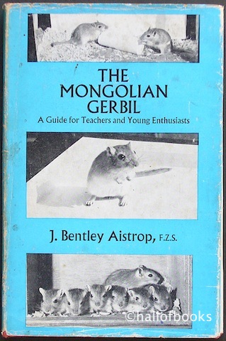 Image for The Mongolian Gerbil: A Guide for Teachesr and Young Enthusiats