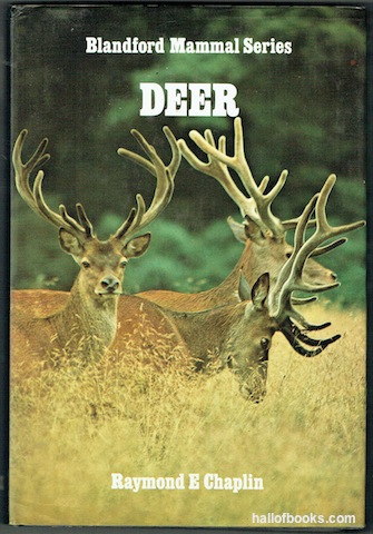 Image for Deer (Blandford Mammal Series)