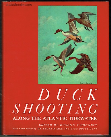 Image for Duck Shooting Along The Atlantic Tidewater