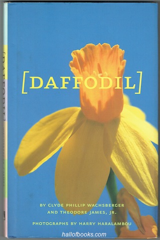 Image for Daffodil