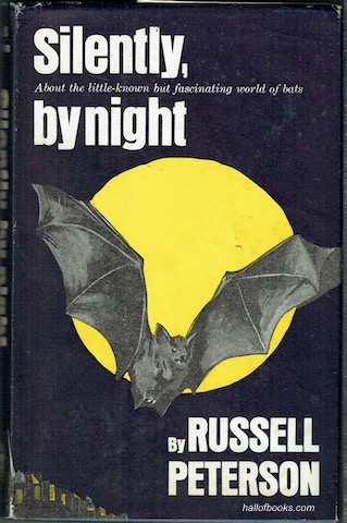Image for Silently, By Night