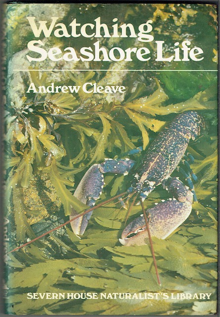 Image for Watching Seashore Life