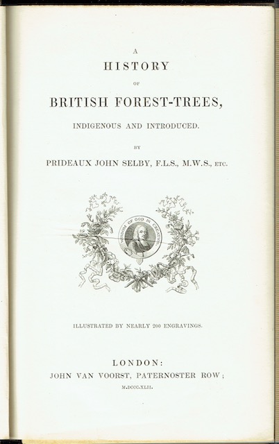 Image for A History Of British Forest-Trees, Indigenous And Introduced