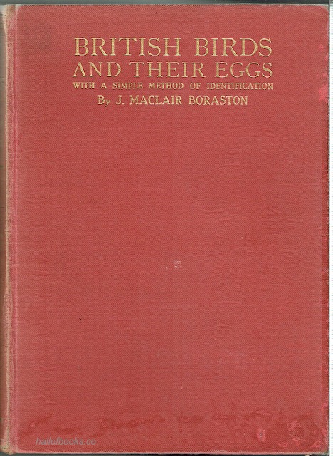 Image for British Birds And Their Eggs, With A Simple Method Of Identification