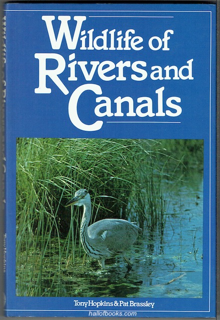 Image for Wildlife Of Ponds And Rivers