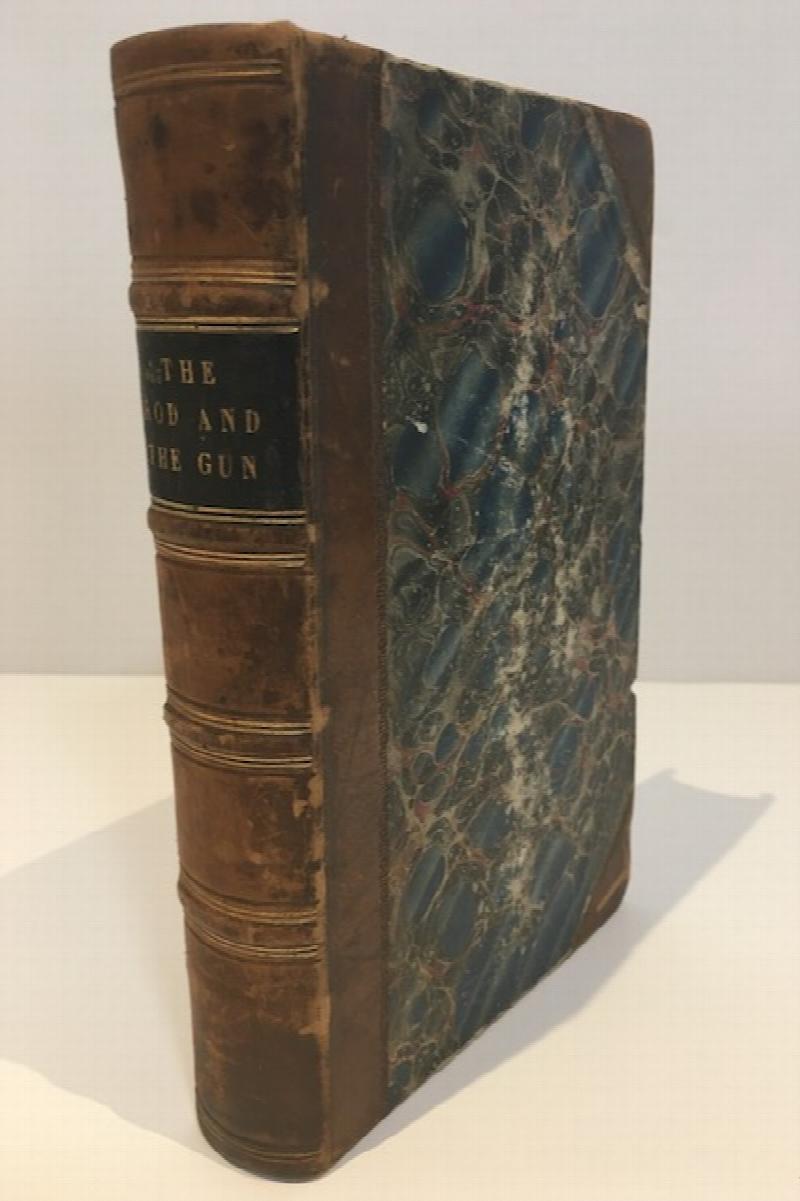 Image for The Rod And The Gun Being Two Treatises on Angling And Shooting