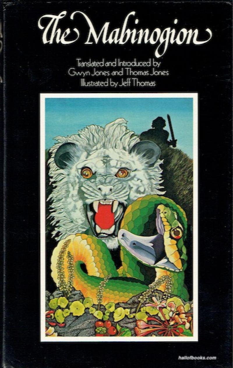 Image for The Mabinogion