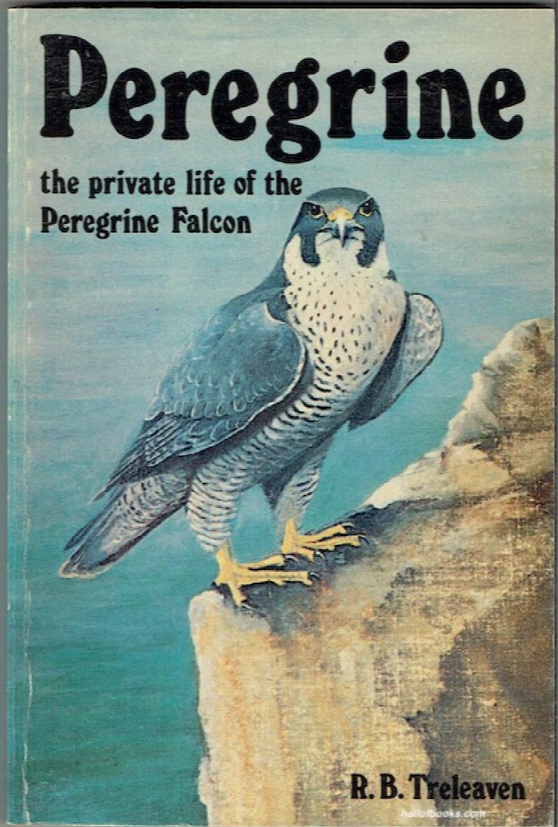 Image for Peregrine: The Private Life Of The Peregrine Falcon