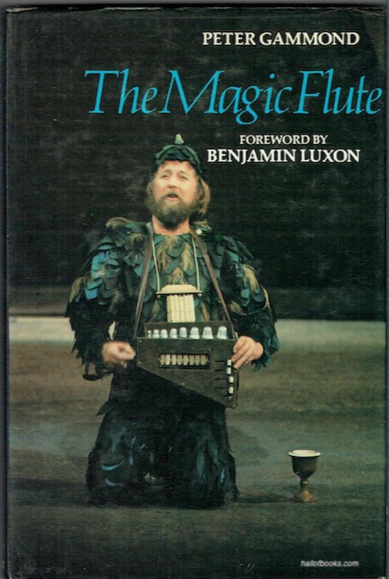 Image for The Magic Flute: A Guide To The Opera