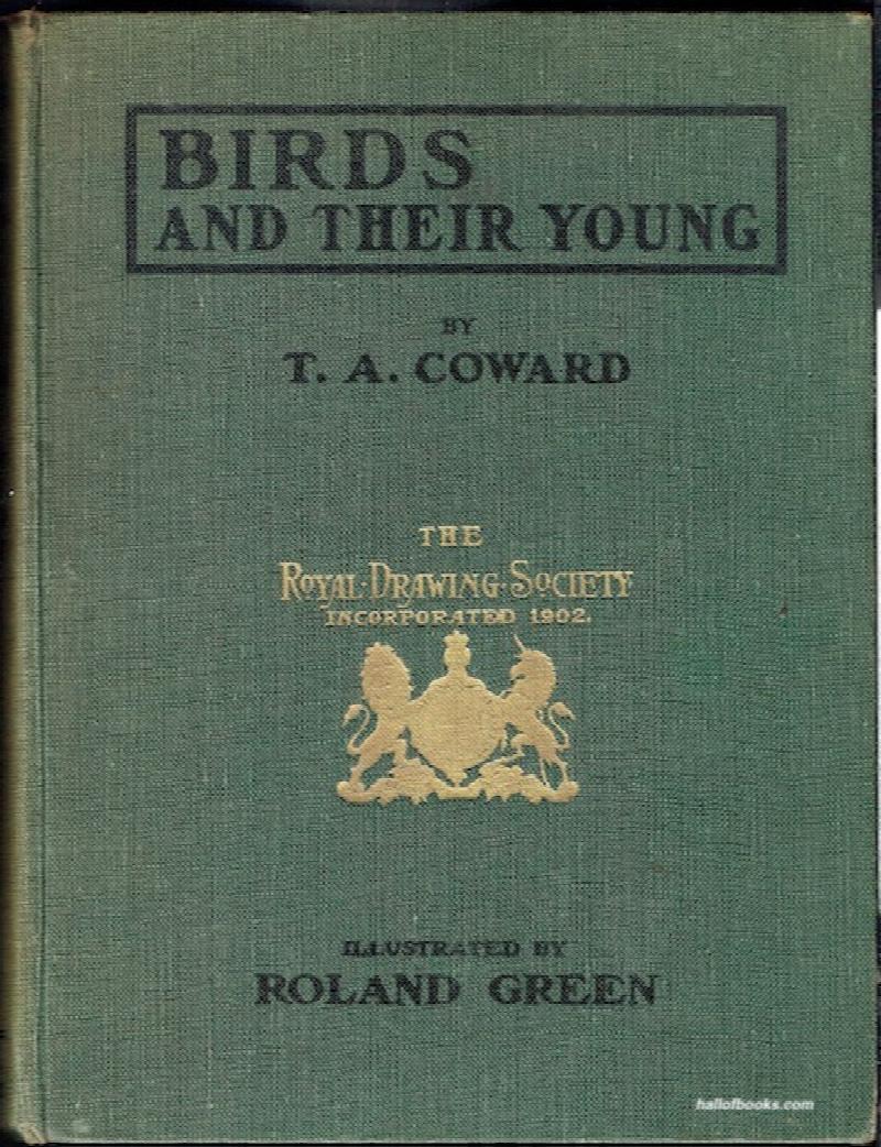 Image for Birds And Their Young