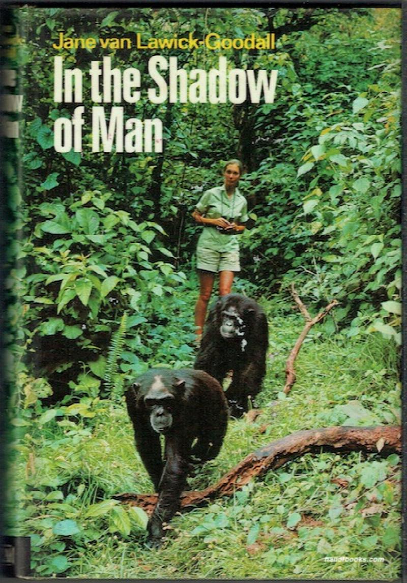 Image for In The Shadow Of Man