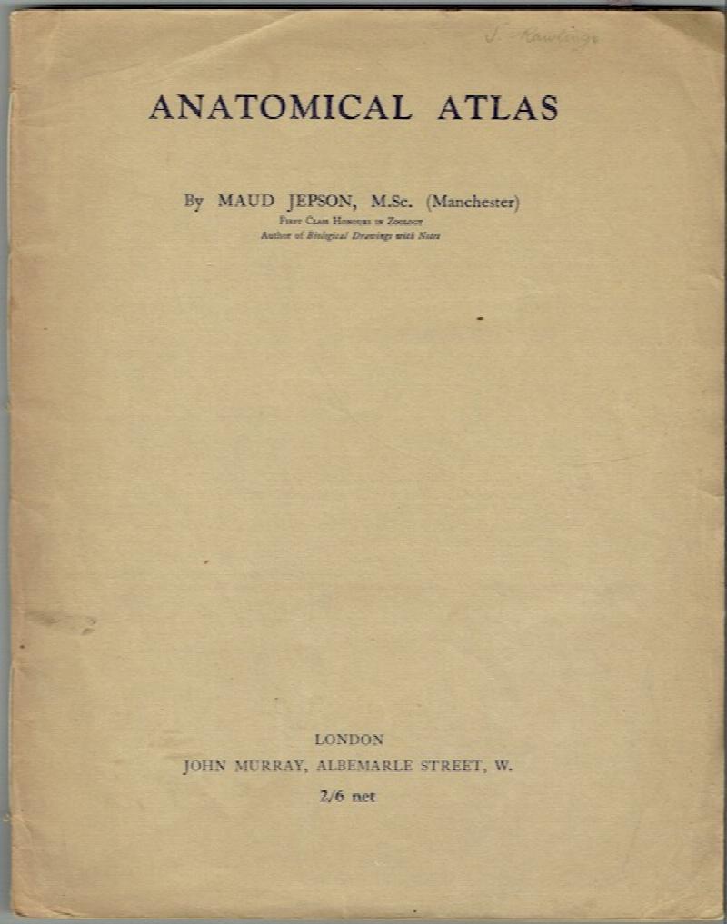 Image for Anatomical Atlas