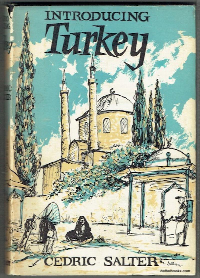 Image for Introducing Turkey