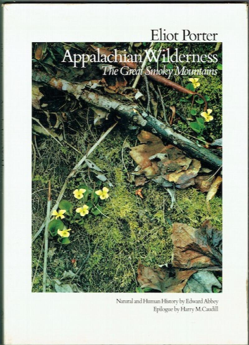 Image for Appalachian Wilderness: The Great Smokey Mountains